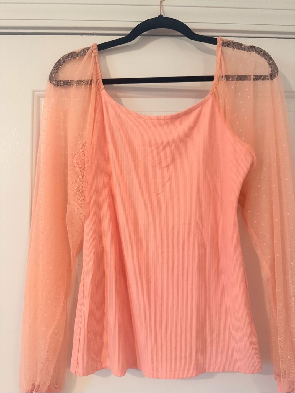 Sheer Sleeve Peach Women's Top